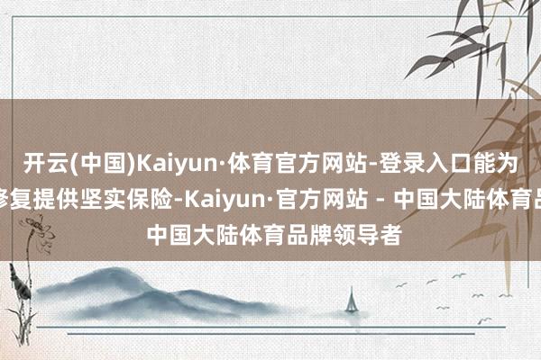 开云(中国)Kaiyun·体育官方网站-登录入口能为城市谈路修复提供坚实保险-Kaiyun·官方网站 - 中国大陆体育品牌领导者
