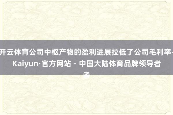 开云体育公司中枢产物的盈利进展拉低了公司毛利率-Kaiyun·官方网站 - 中国大陆体育品牌领导者